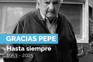 pepe