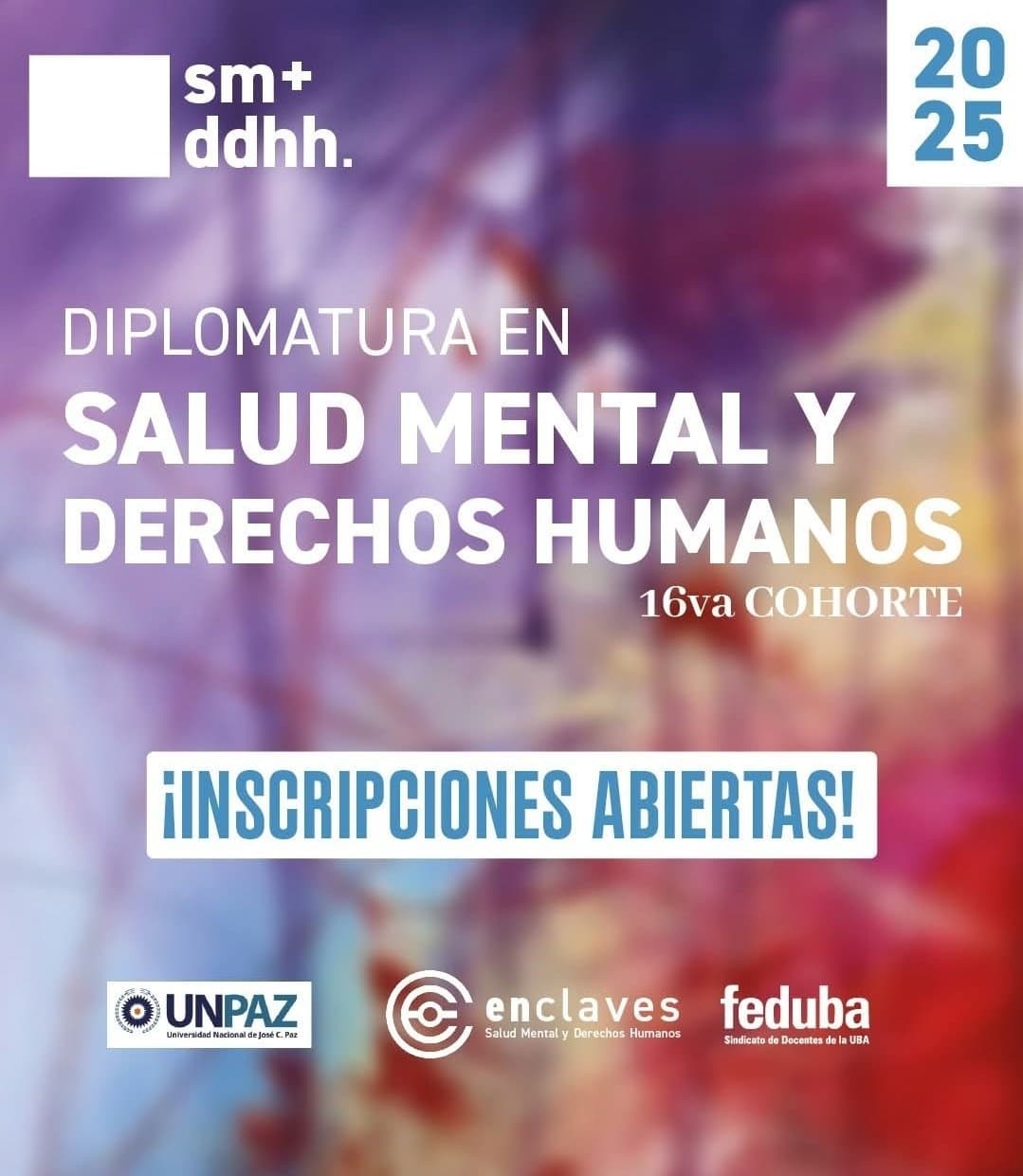 diplomatura salud mental y y DDHH