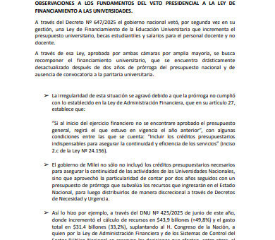 Observaciones-al-Veto